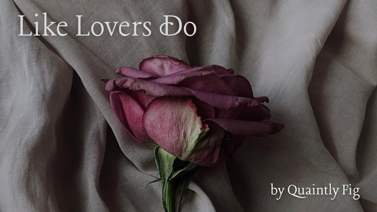 Text: Like Lovers Do by Quaintly Fig Image: a dusty pink rose lies against soft beige sheets